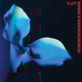 Birthmarks by Bambara