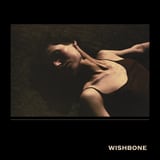 Wishbone by Clara Mann