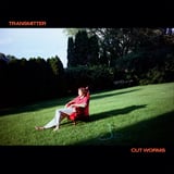 Transmitter by Cut Worms