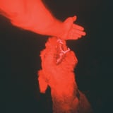 A Trick Of The Light by Eli Winter