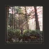 Seed of a Seed by Haley Heynderickx