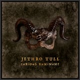 Curious Ruminant by Jethro Tull