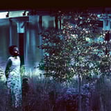 Vesper Sparrow by JJJJJerome Ellis