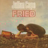 Friar Tuck by Julian Cope