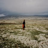 Evergreen In Your Mind by Juni Habel