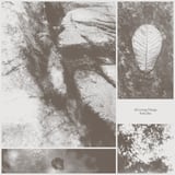 All Living Things by Park Jiha