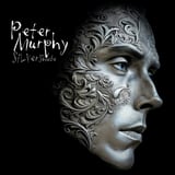 Silver Shade by Peter Murphy