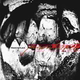 Peace In Place by Poison the Well