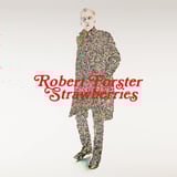 Strawberries by Robert Forster