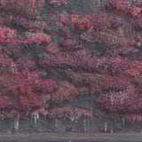 Even In Arcadia by Sleep Token