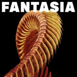 Fantasia by SLIFT