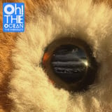 Oh! The Ocean by The Wombats
