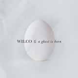 A Ghost Is Born [Deluxe Edition] by Wilco