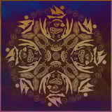 A Paradise In The Hold by Yazz Ahmed