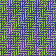 Merriweather Post Pavilion by Animal Collective