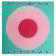 Liminal by Brian Eno & Beatie Wolfe