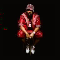 The Emperor's New Clothes by Raekwon