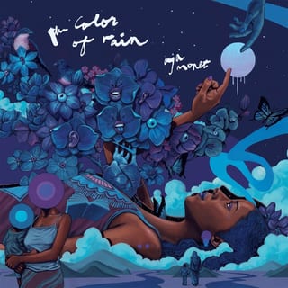 the color of rain by aja monet