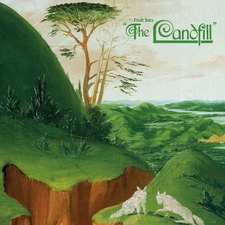The Landfill by Fruit Bats
