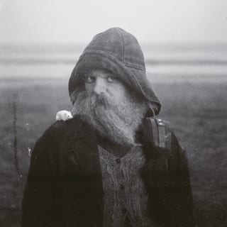 Role Model Hermit by mary in the junkyard