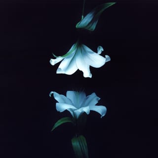Nocturne by Wasia Project