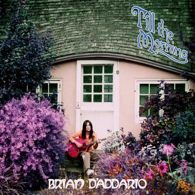 Till the Morning by Brian D'Addario