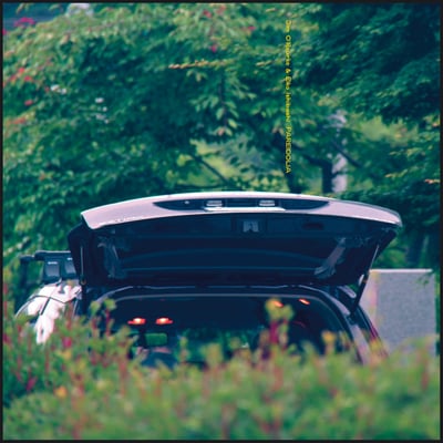 Pareidolia by Eiko Ishibashi & Jim O'Rourke