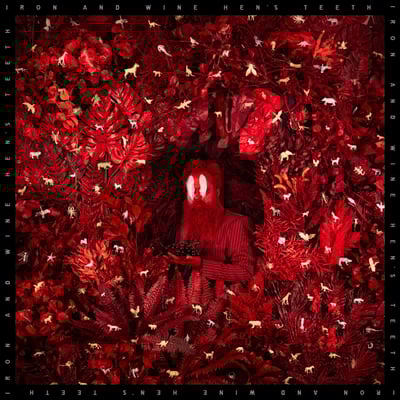 Hen's Teeth by Iron & Wine