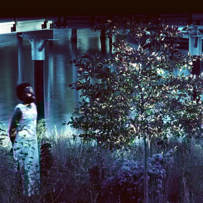 Vesper Sparrow by JJJJJerome Ellis