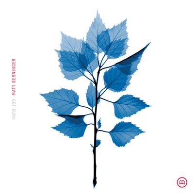 Get Sunk by Matt Berninger