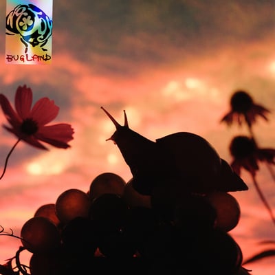 Bugland by No Joy