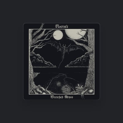 Noctule