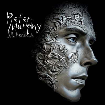 Silver Shade by Peter Murphy