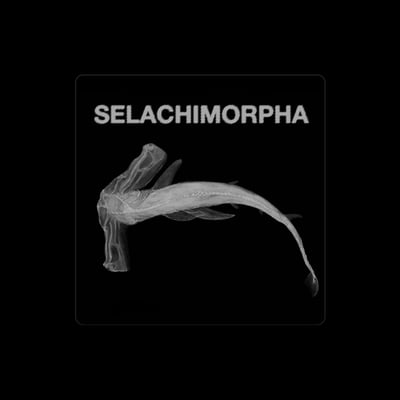 Shark School