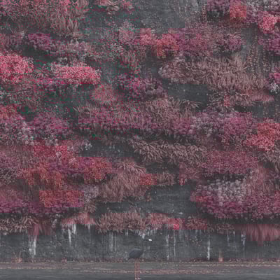 Even In Arcadia by Sleep Token