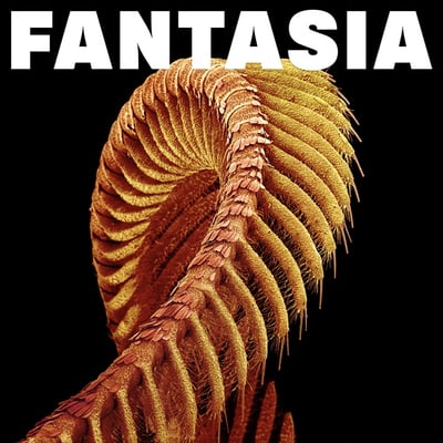 Fantasia by SLIFT