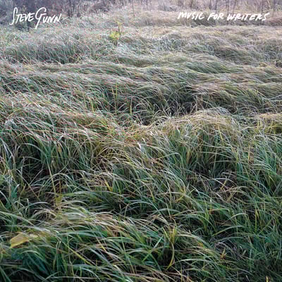 Music For Writers by Steve Gunn