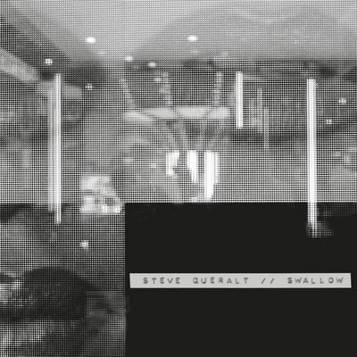 Swallow by Steve Queralt