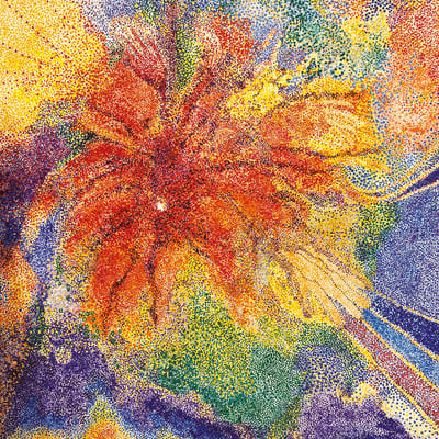 Pomegranate by Tess Parks