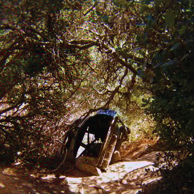 Possession by Ty Segall