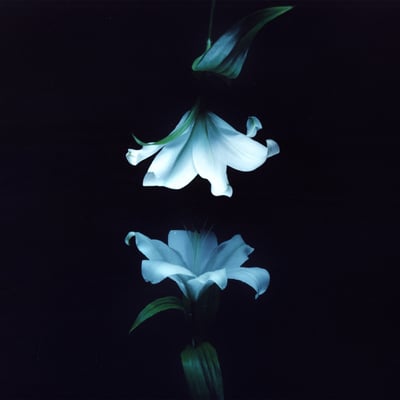 Nocturne by Wasia Project