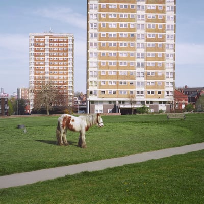 It Goes On by Westside Cowboy