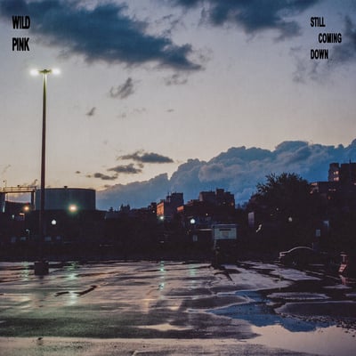 Still Coming Down by Wild Pink