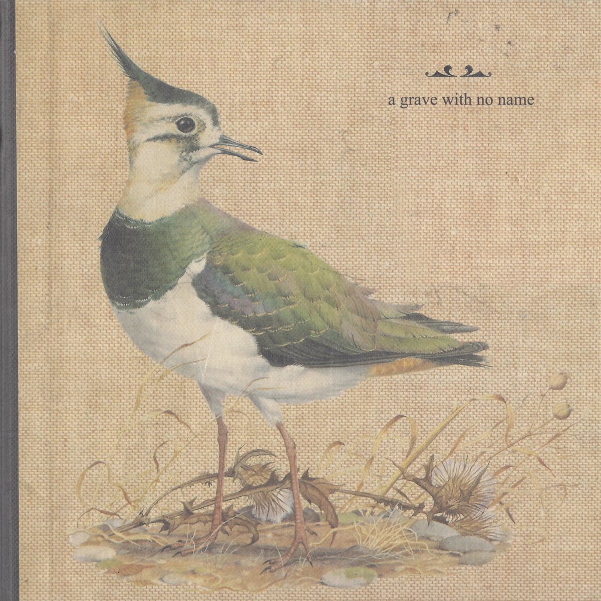 Feathers Wet, Under the Moon by A Grave With No Name