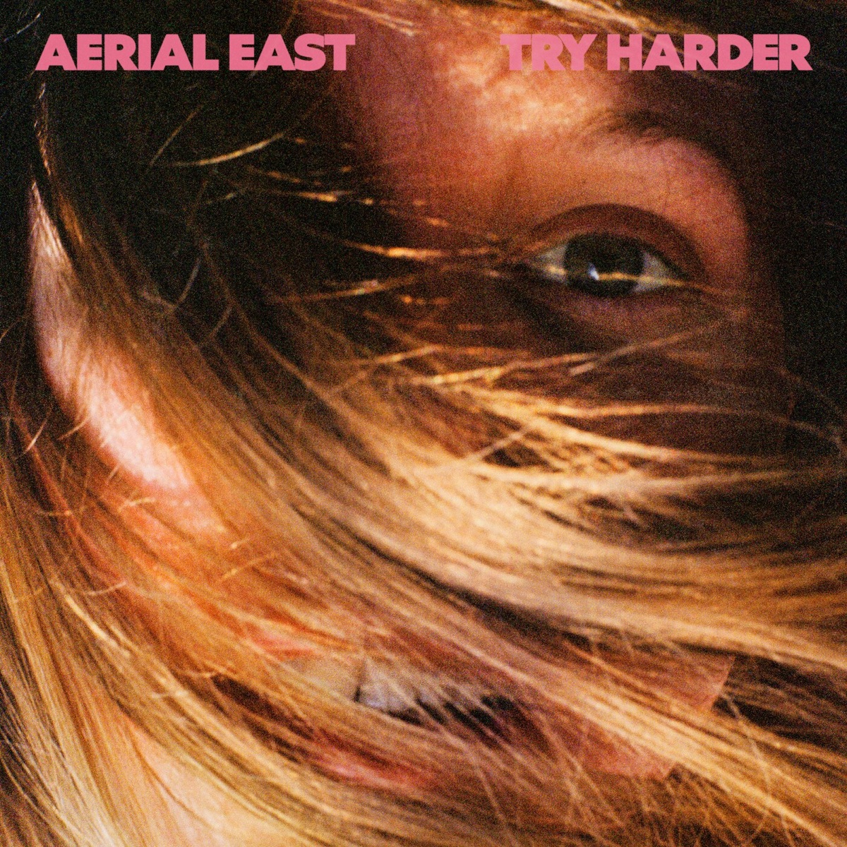 Try Harder by Aerial East