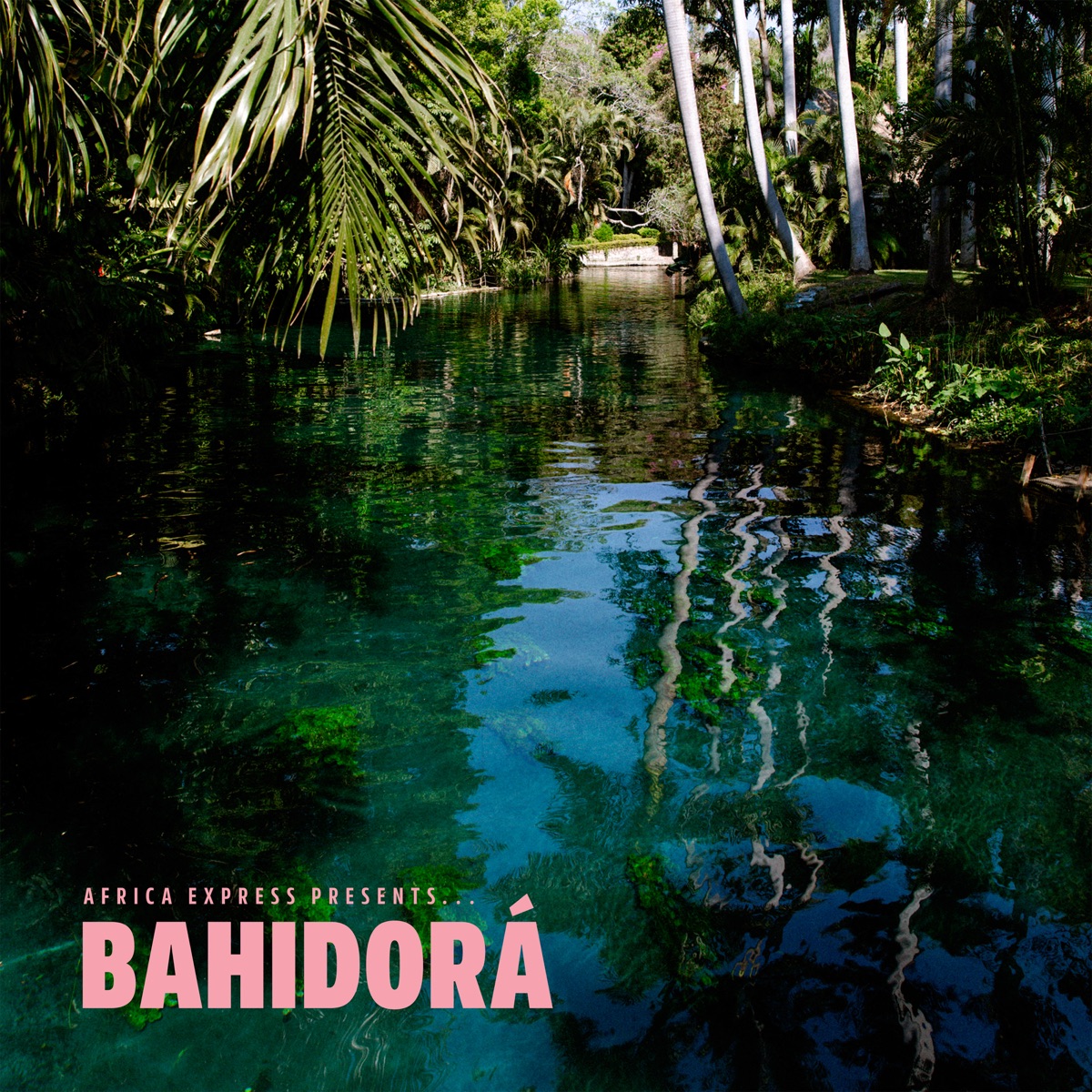 Africa Express Presents... Bahidorá by Africa Express