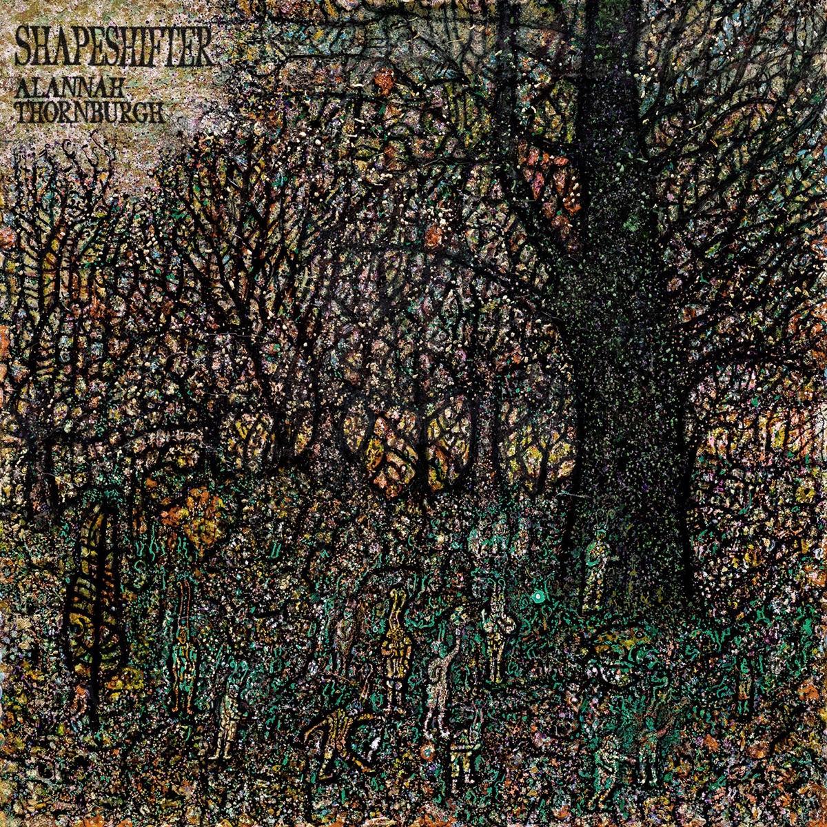 Shapeshifter by Alannah Thornburgh