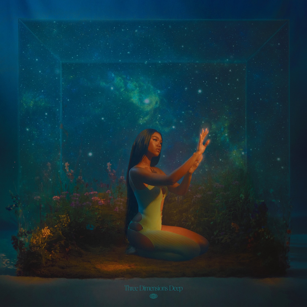 Three Dimensions Deep by Amber Mark