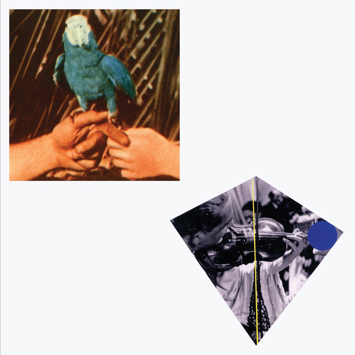 Are You Serious by Andrew Bird