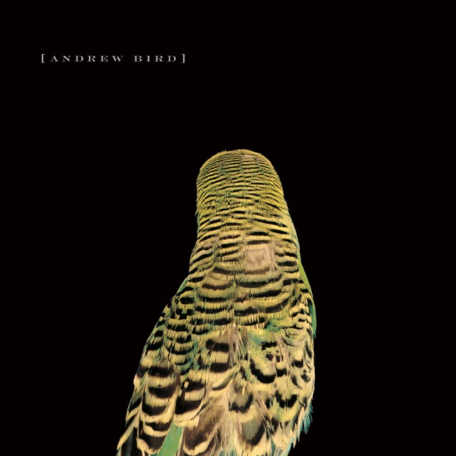 Armchair Apocrypha by Andrew Bird